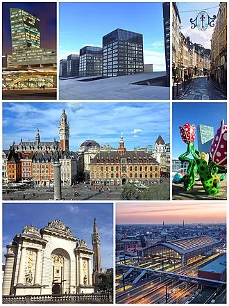 Vue de Lille